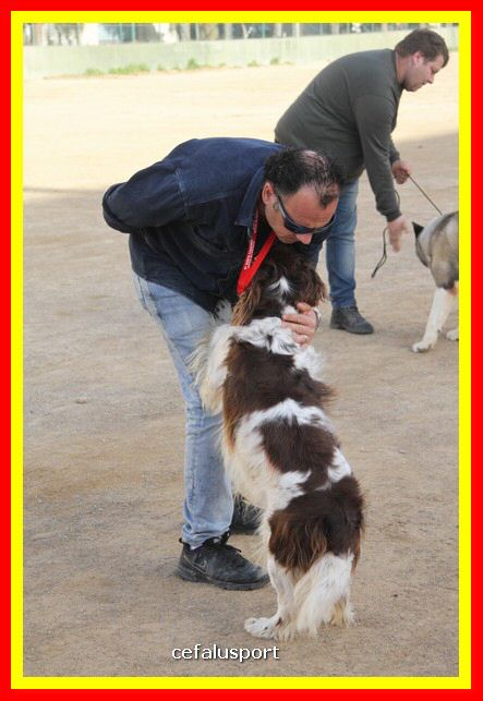 180311 mostra_canina 166.jpg